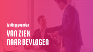 Minder verzuim