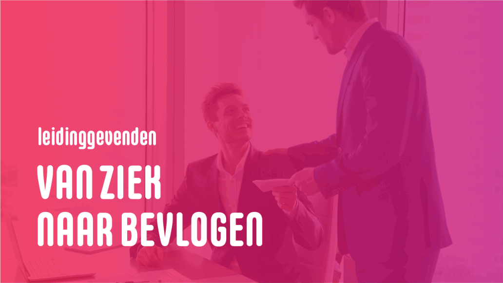 Minder verzuim