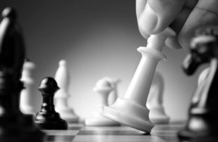 Training-stm-voor-adviseurs