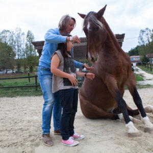 Module 9: Echt contact mens en paard lesdag 1