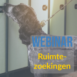 Webinar: Ruimtezoekingen