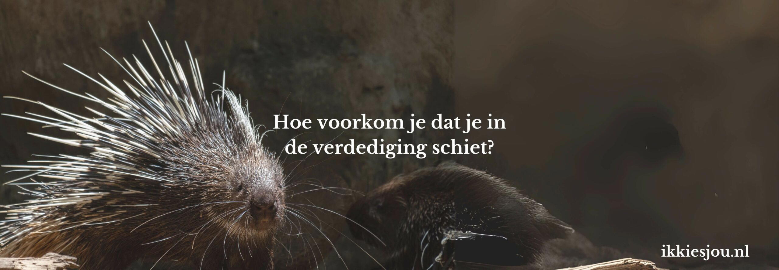 in-de-verdediging