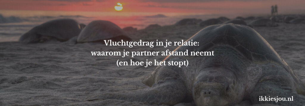 partner-vlucht