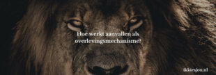 aanvallen