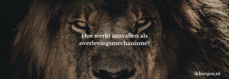 aanvallen