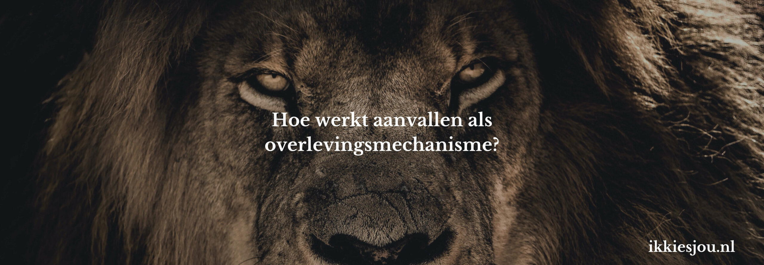 aanvallen