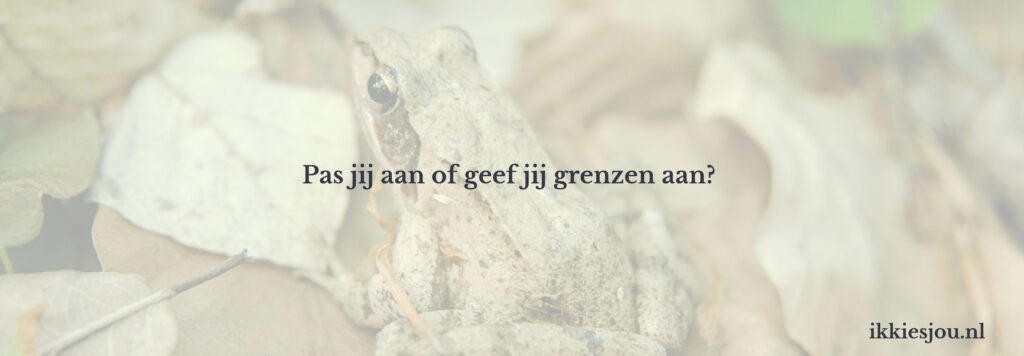 overlevingsstrategie