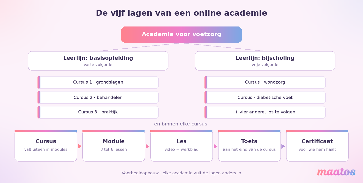 Structuurdiagram van een online academie met vijf lagen: academie, leerlijnen, cursussen, modules met lessen en tot slot toets en certificaat