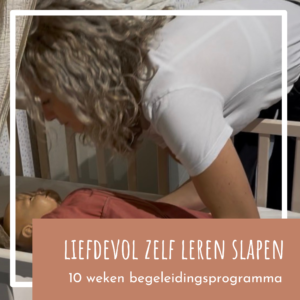 online begeleidingsprogramma liefdevol zelf leren slapen