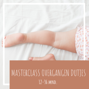 Masterclass overgang van 2 naar 1 en van 1 naar geen dutje