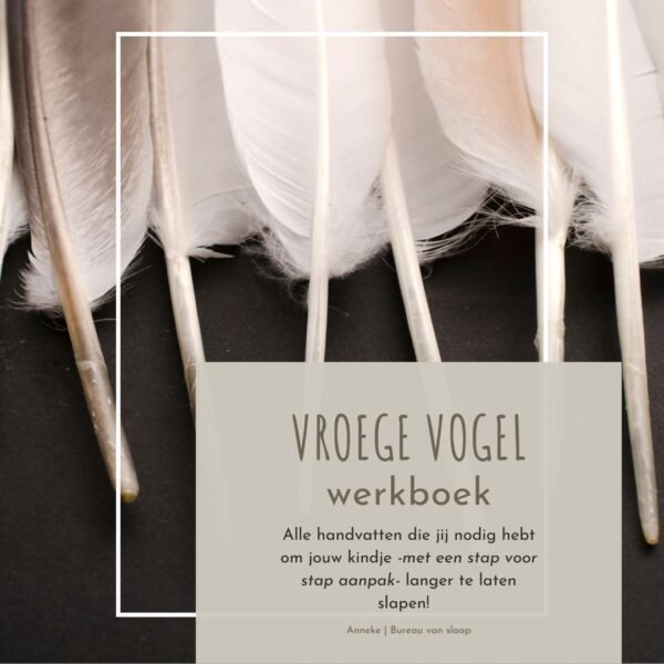 Vroege vogel- werkboek
