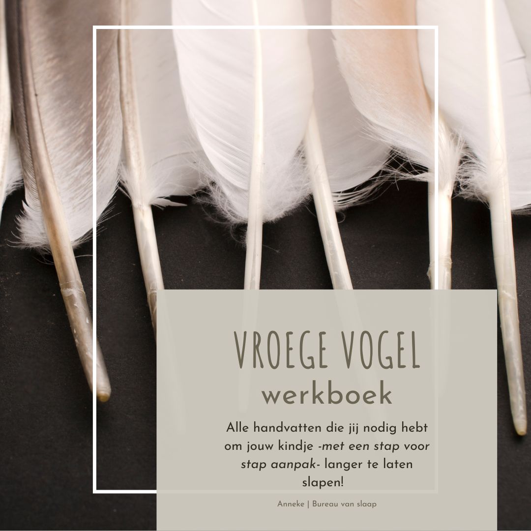 Vroege vogel werkboek