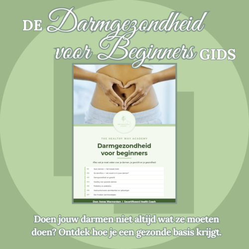 De Darmgezondheid Voor Beginners Gids