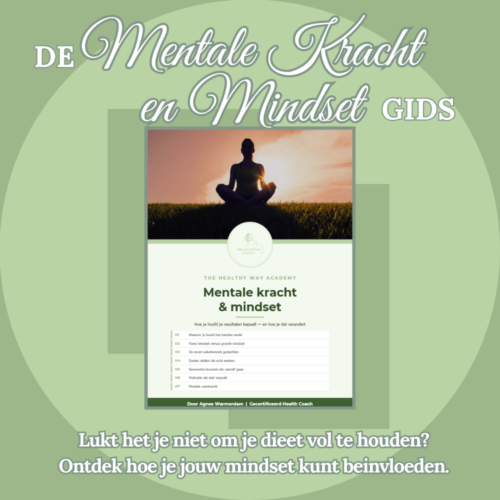 De Mentale Kracht en Mindset Gids
