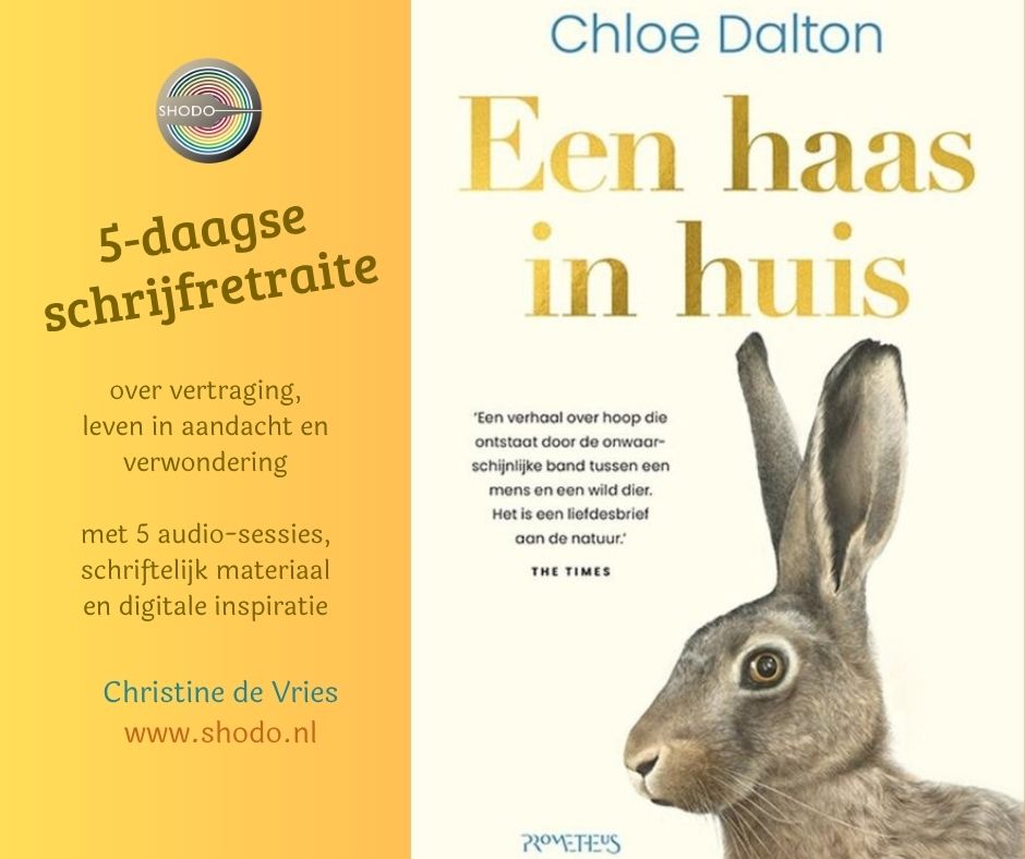 Schrijfretraite "Een haas in huis"