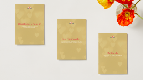 Bundel journals