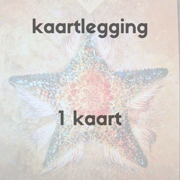 Insight 1 kaartlegging