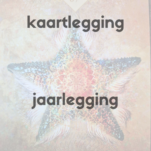 Insight Jaarlegging