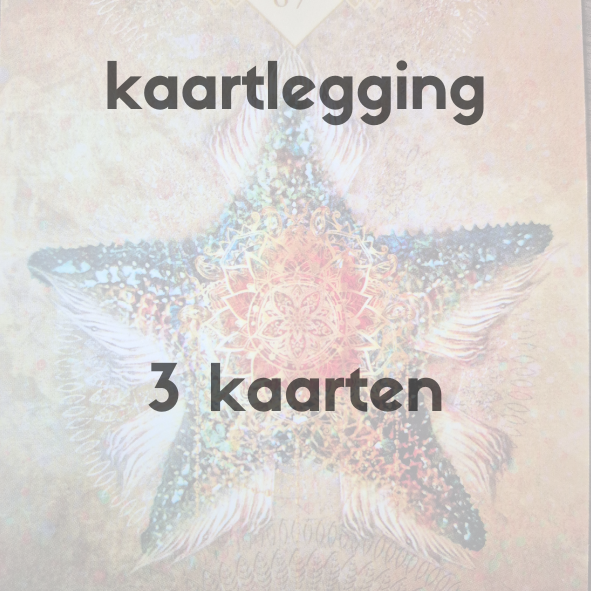 Insight 3 kaartlegging