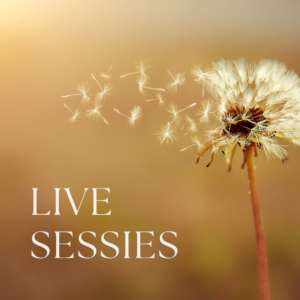 Live lessen