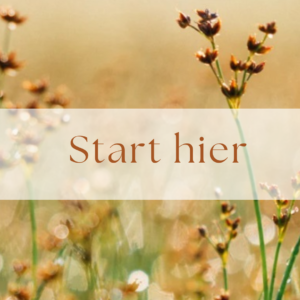 Start hier