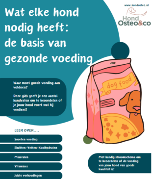 Naamloos