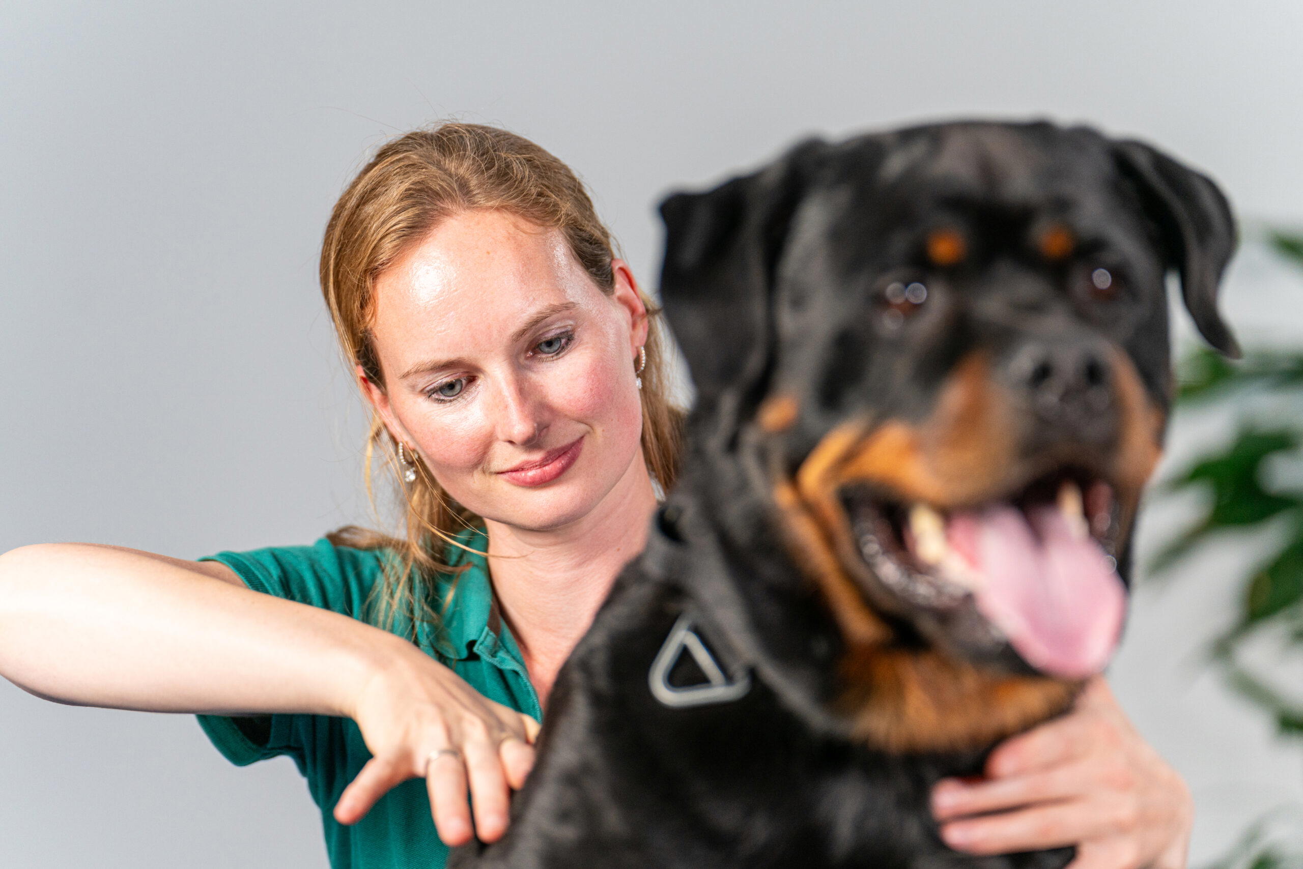 Osteopathie, fysiotherapie of chiropractie?