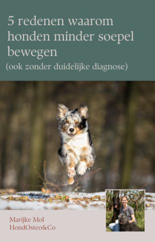5 redenen waarom honden minder soepel bewegen