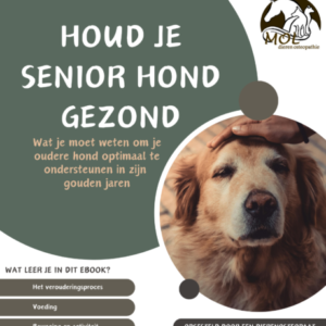 Houd je Senior Hond Gezond