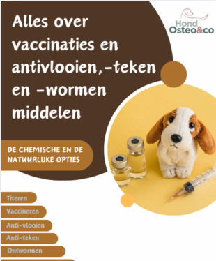 vlooien