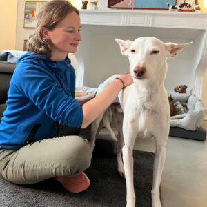 massageworkshop hond