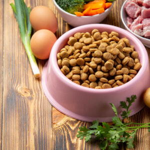 alles over voeding en suppletie webinar