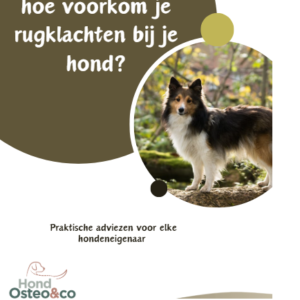 eBook: een Gezonde Rug