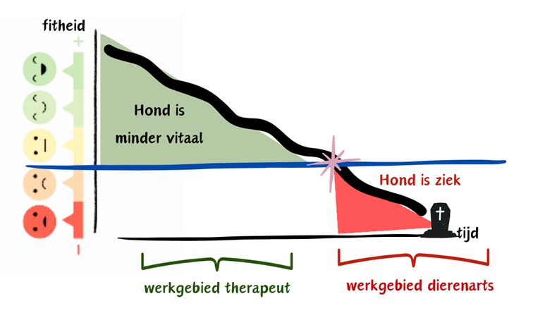 visueel zichtbaar maken van het werkgebied van de therapeut en het werkgebied van de osteopaat, fysiotherapeut, chiropractor en natuurgeneeskundig therapeut.