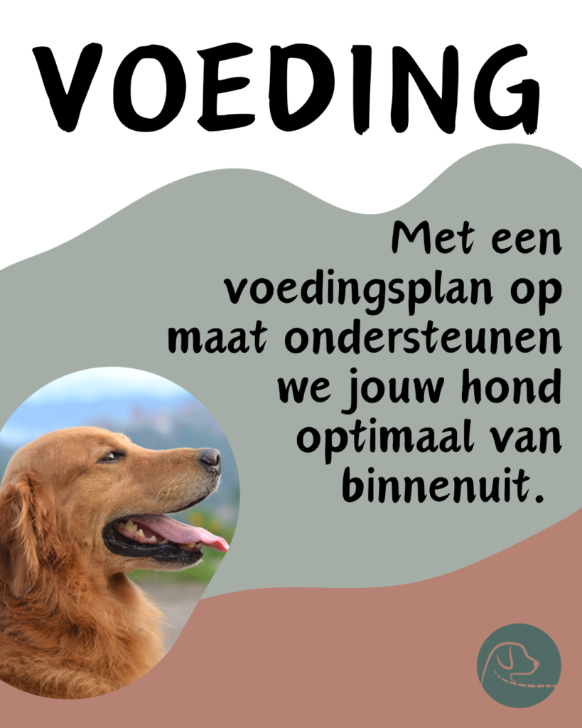 voedingsadvies (integraal voedingstherapeut)