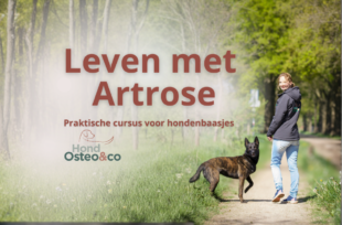 leven met artrose