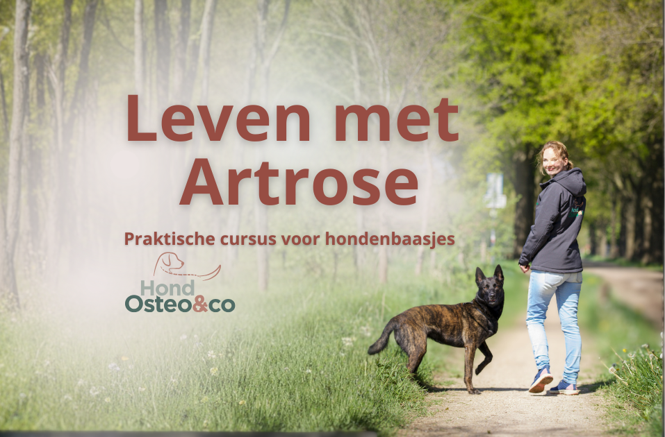 leven met artrose
