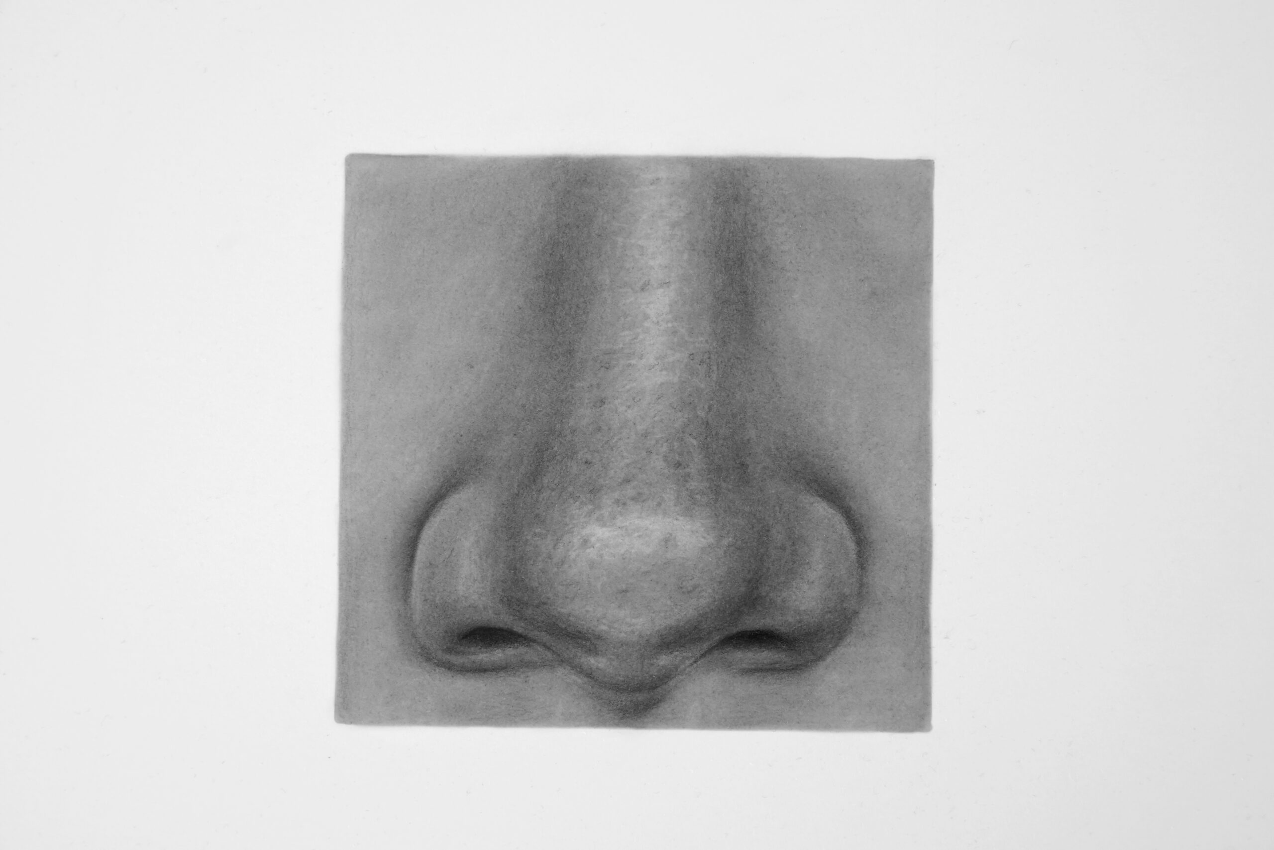 Realistische potlood tekening van een neus.