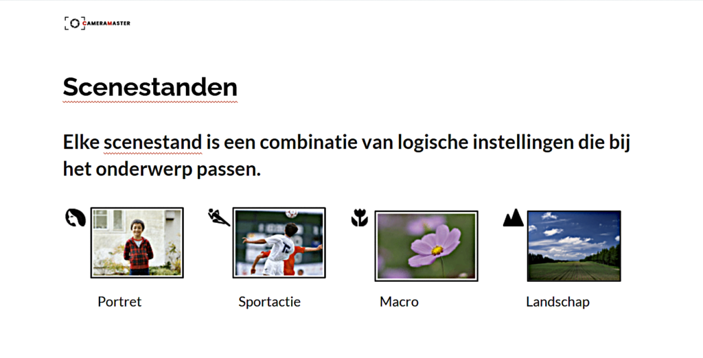 Scenestanden zijn toegspitst op specifieke onderwerpen en geven daar de juiste instellingen voor