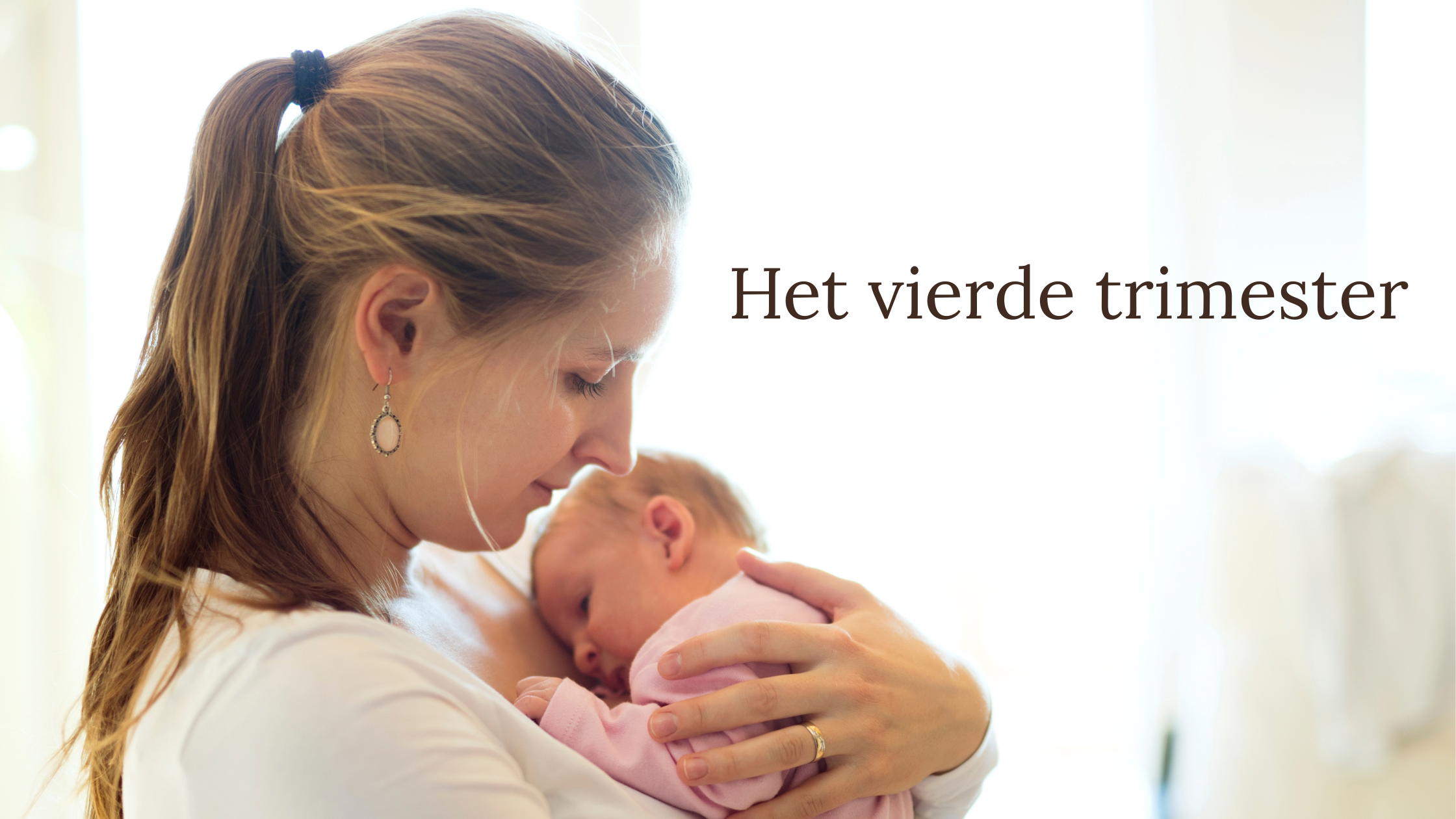vierde trimester