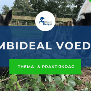 Afbeelding bij combideal thema en praktijkdag natuurlijke voeding bij paarden van de Blauwe Hengst