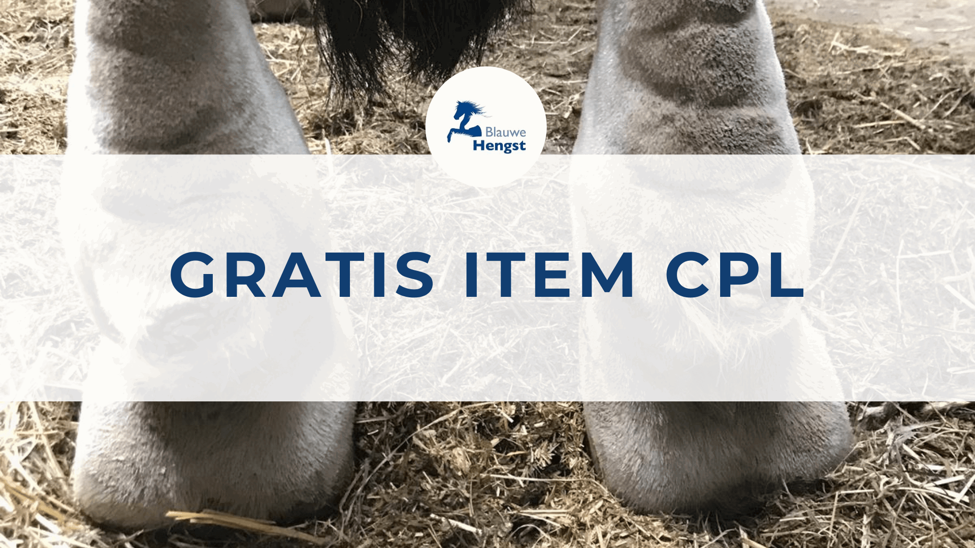 Gratis-item-CPL-min