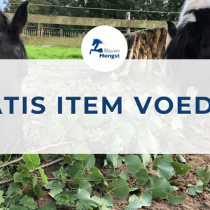 Gratis-video-natuurlijke-voeding-paard-min