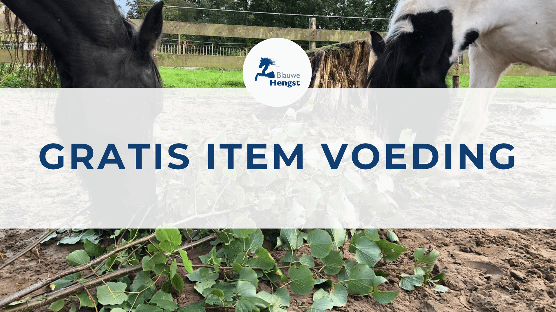 Gratis-video-natuurlijke-voeding-paard-min