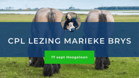 Afbeelding bij online lezing over CPL door Marieke Brys
