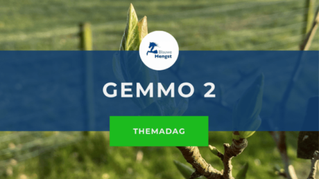 Cursusafbeelding bij online themadag Gemmo 2 door Blauwe Hengst