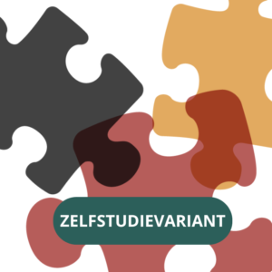 Hechtingsproblematiek oplossen - Zelfstudievariant