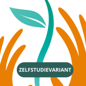 Opvoedinvloed 2 - Zelfstudievariant