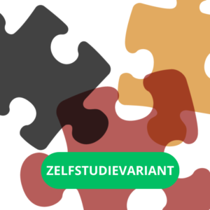 Hechtingsproblematiek oplossen - Zelfstudievariant