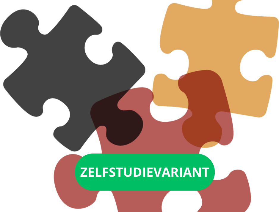 Hechtingsproblematiek oplossen - Zelfstudievariant